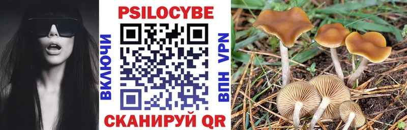 omg tor  Талица  Псилоцибиновые грибы мухоморы 